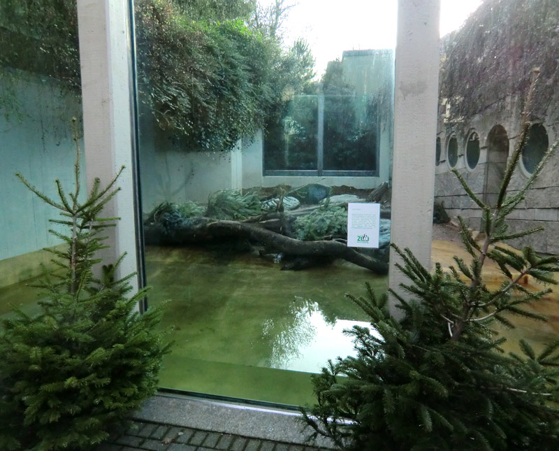 Kleine Freianlage für Eisbären im Wuppertaler Zoo am 18. Januar 2014