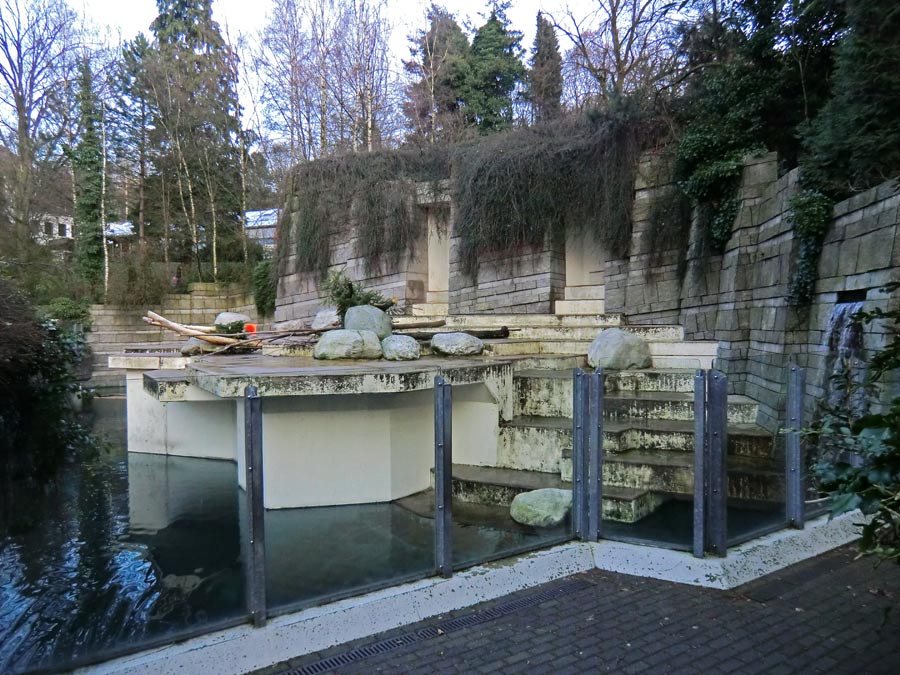 Große Freianlage für Eisbären im Zoologischen Garten Wuppertal am 19. Januar 2014