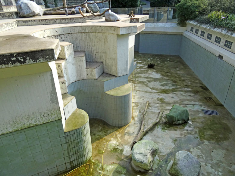 Reinigung des Beckens am 31. August 2016 auf der großen Freianlage für Eisbären im Zoo Wuppertal