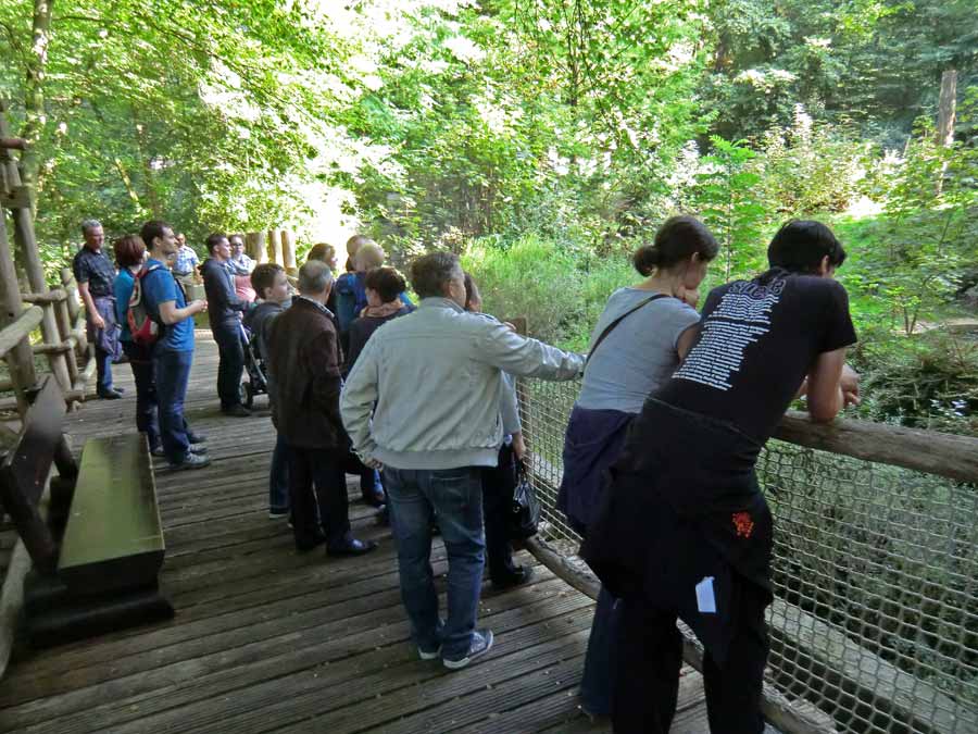 Zoogäste an der Braunbärenanlage im Zoo Wuppertal im September 2014