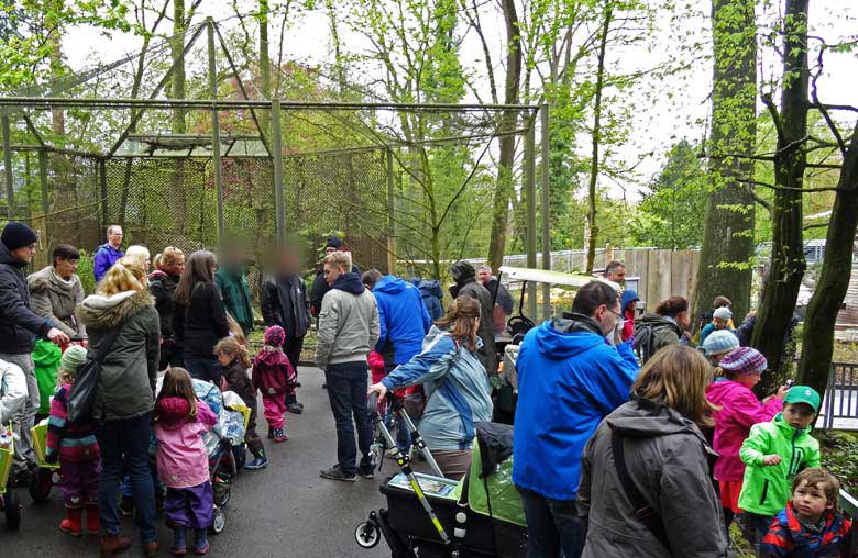 Sprechstunde der Tierpfleger am Tag des Wolfes im Zoo Wuppertal am 30. April 2016