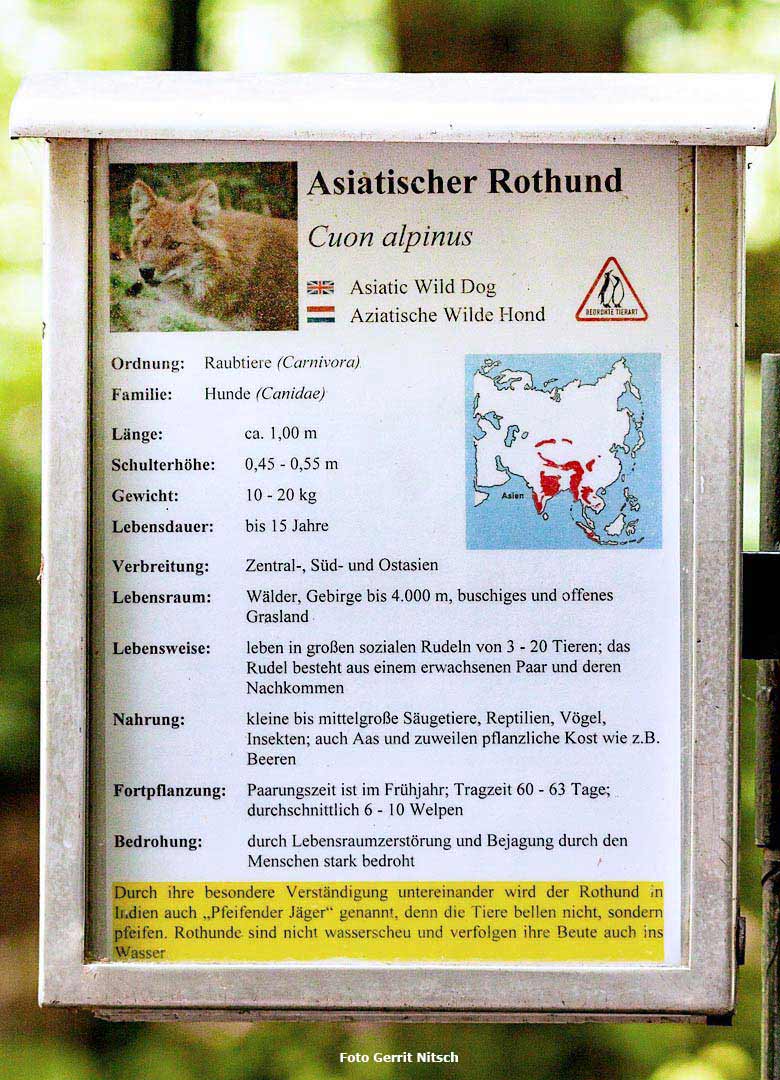 Informationsschild zu der Tierart Asiatischer Rothund am 25. Mai 2018 am ehemaligen Wolfsgehege im Wuppertaler Zoo (Foto Gerrit Nitsch)