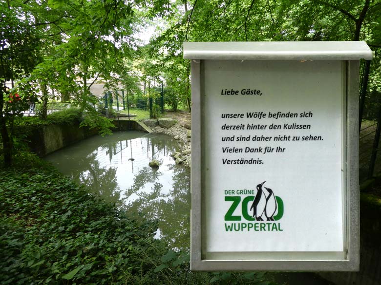 Die beiden Europäischen Wölfe am 27. Juli 2017 auf der Braunbärenanlage im Grünen Zoo Wuppertal