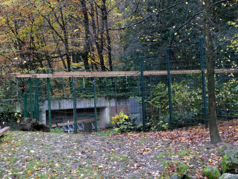 Blick auf das Vorgehege am Wolfshaus am 19. November 2017 im Wuppertaler Zoo