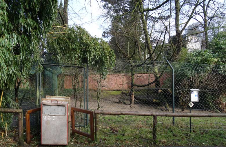 Transportkiste vor der Gepardenanlage am 6. März 2016 im Grünen Zoo Wuppertal