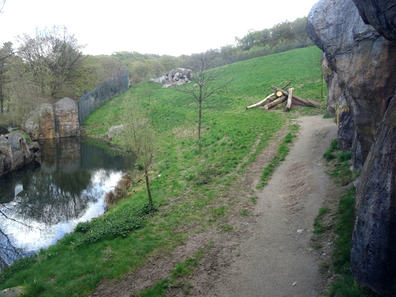 Neue Baumstämme auf der Außenanlage für Afrikanische Löwen am 24. April 2016 im Zoologischen Garten der Stadt Wuppertal