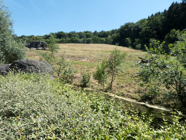 Löwensavanne ohne sichtbare Löwen am 7. Juli 2018 im Grünen Zoo Wuppertal