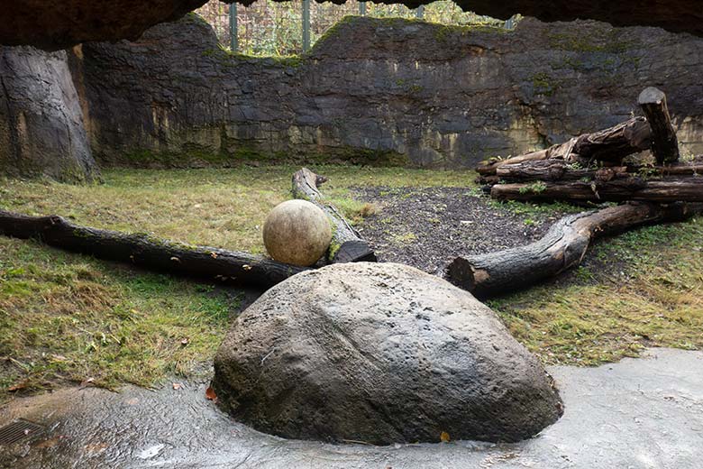 Frisch gemähte Mini-Außenanlage am Löwen-Haus am 20. November 2023 im Grünen Zoo Wuppertal