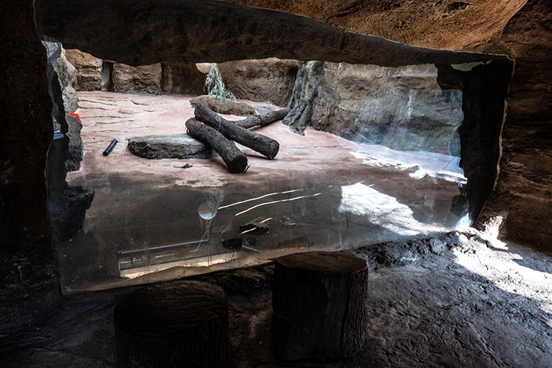 Anscheinend beschädigte Glasscheibe am Innen-Schaugehege im Löwen-Haus am 8. März 2024 im Zoo Wuppertal