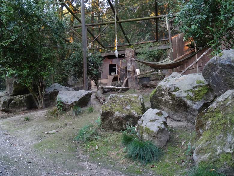 Wüstenheuschrecke am 5. September 2016 im Terrarium im Zoologischen Garten der Stadt Wuppertal