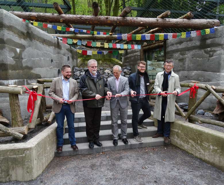 Symbolischer Scherenschnitt zur Eröffnung der neuen Schneeleoparden-Anlage am 5. Mai 2017 im Wuppertaler Zoo