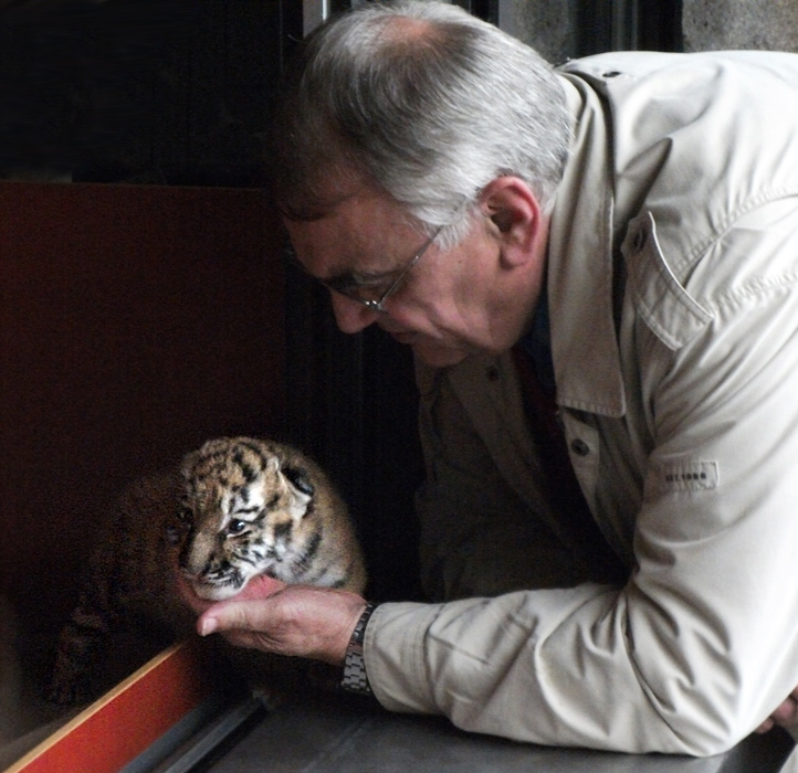 Zoodirektor Dr. Ulrich Schürer mit dem Sibirischen Tigerbaby Tschuna im Zoologischen Garten Wuppertal am 10. September 2010