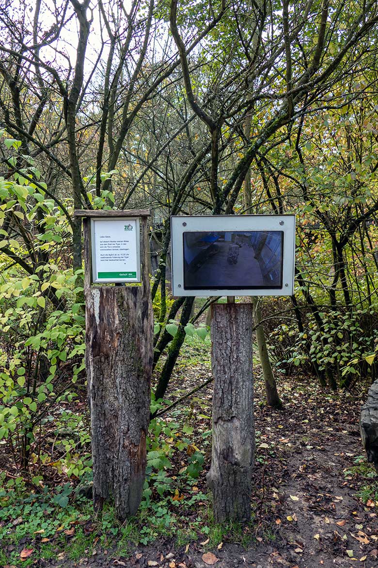 Monitor für Zoogäste  mit Bildern aus dem Innengehege des Tiger-Hauses am 25. Oktober 2022  an der größeren Außenanlage im Tiger-Tal im Zoo Wuppertal
