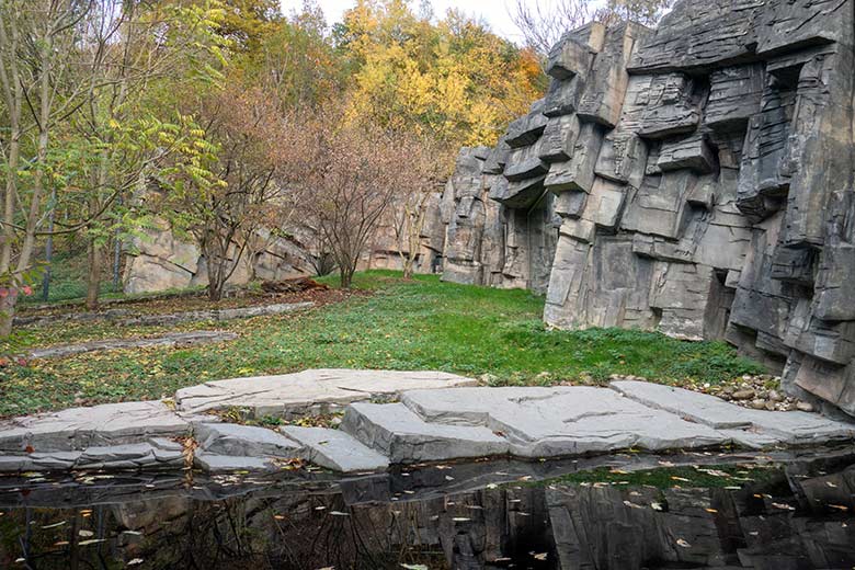 Amur-Tiger-Katze MYMOZA am 15. November 2022 im Durchgang des Tiger-Hauses zur kleineren Außenanlage im Tiger-Tal im Grünen Zoo Wuppertal