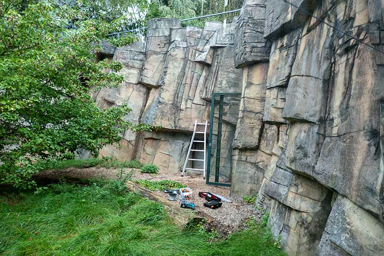 Arbeits-Leiter auf der kleineren Außenanlage für Amur-Tiger am 21. September 2023 im Wuppertaler Zoo