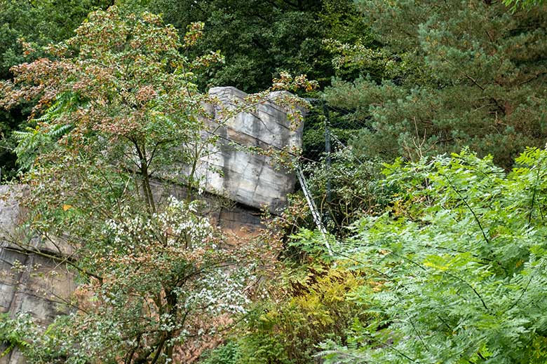 Arbeits-Leiter auf der größeren Außenanlage für Amur-Tiger am 5. Oktober 2023 im Zoologischen Garten Wuppertal