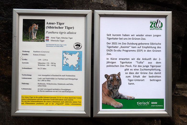 Aushang am 18. November 2023 an der größeren Außenanlage im Tiger-Tal im Grünen Zoo Wuppertal