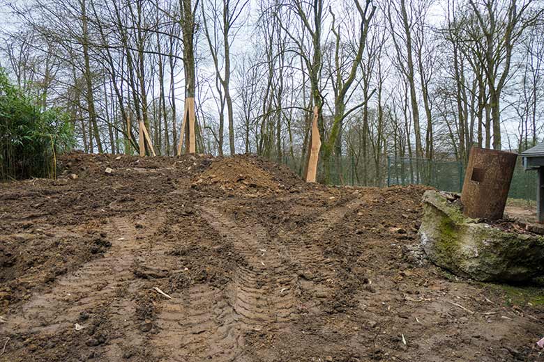 Baustelle der neuen Anlage für Rote Pandas am 12. März 2021 im Grünen Zoo Wuppertal