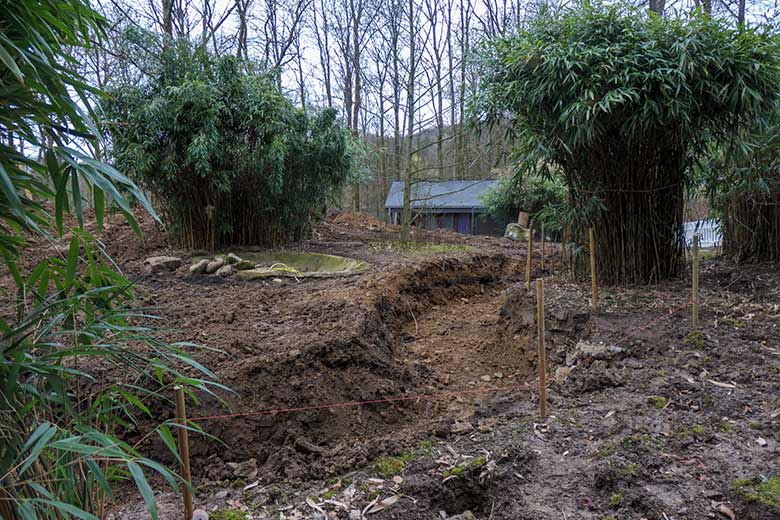 Baustelle der neuen Anlage für Rote Pandas am 12. März 2021 im Wuppertaler Zoo