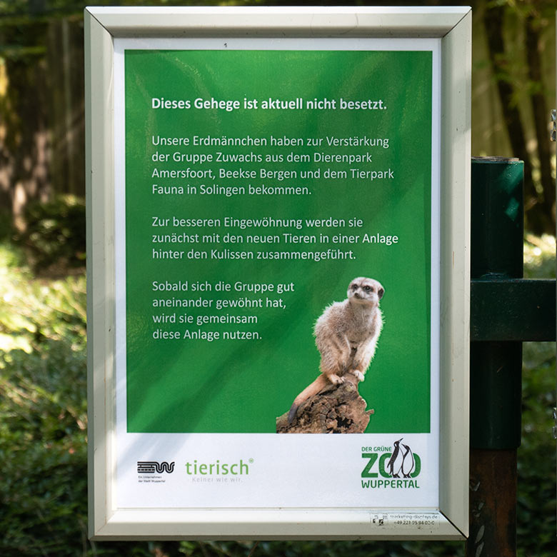 Aushang zur Verstärkung der Erdmännchen-Gruppe am 8. September 2023 an der Außenanlage der Erdmännchen im Grünen Zoo Wuppertal