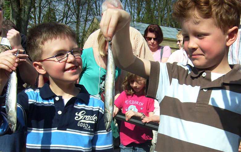 Fisch für die Seelöwen im Wuppertaler Zoo im April 2009