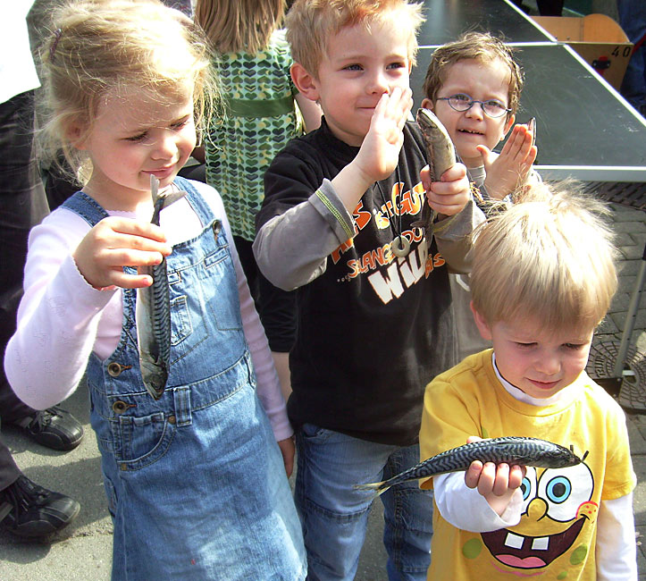 Fisch für die Seelöwen im Wuppertaler Zoo im April 2009