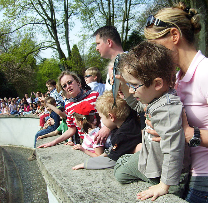 Fisch für die Seelöwen im Zoologischen Garten Wuppertal im April 2009