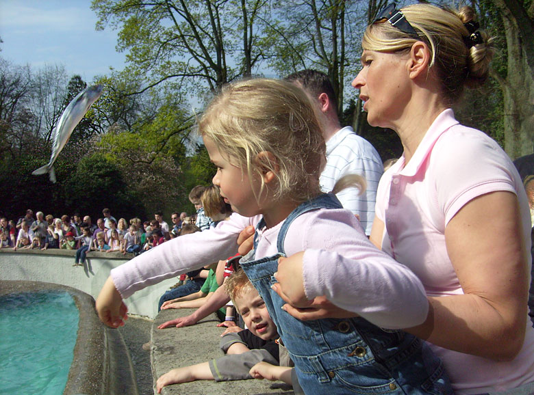 Fisch für die Seelöwen im Wuppertaler Zoo im April 2009