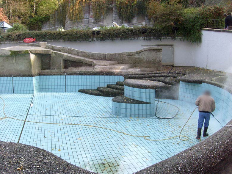 Beckenreinigung bei den Kalifornischen Seelöwen im Wuppertaler Zoo im Oktober 2009