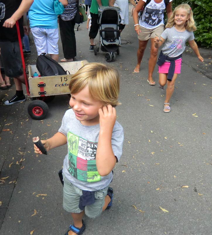 Fütterung der Kalifornischen Seelöwen im Wuppertaler Zoo im August 2014