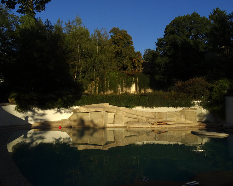 Sommerliche Abendstimmung am Seelöwenbecken am 9. September 2016 im Grünen Zoo Wuppertal