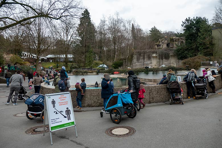 Zoobesucher/innen am Seelöwen-Becken am 10. März 2021 im Grünen Zoo Wuppertal
