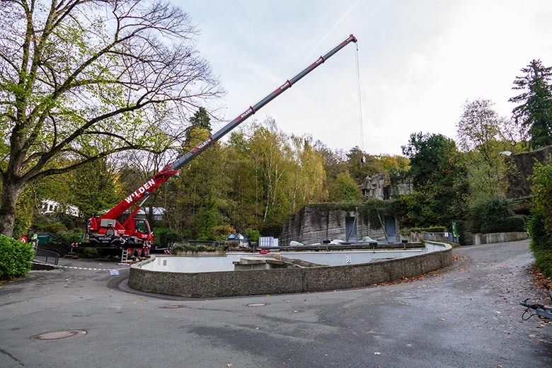 Bauarbeiten für den Umbau der Seelöwen-Anlage am 8. November 2022 im Wuppertaler Zoo