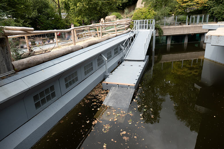 Übergang von der Seelöwen-Anlage zur Erweiterungs-Anlage am 13. Juli 2023 im Grünen Zoo Wuppertal