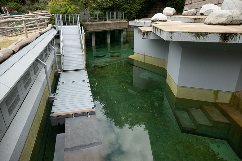 Erweiterungs-Anlage für Kalifornische Seelöwen am 4. August 2023 im Zoologischen Garten Wuppertal