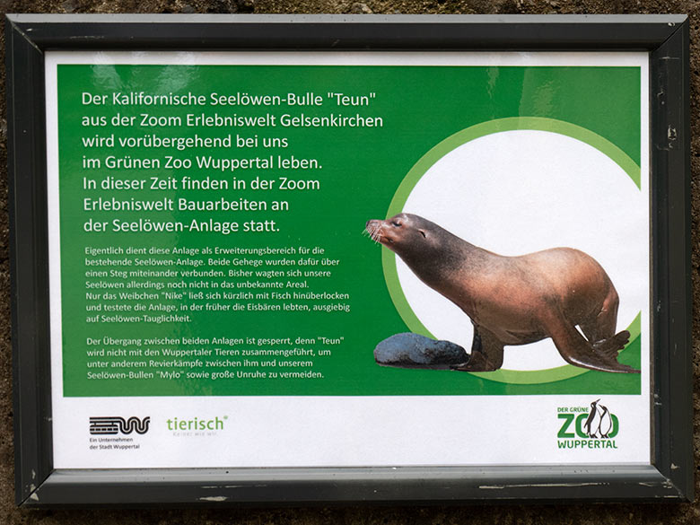 Aushang zum Kalifornischen Seelöwen-Bullen TEUN am 8. August 2023 am Erweiterungs-Bereich der Seelöwen-Anlage im Grünen Zoo Wuppertal