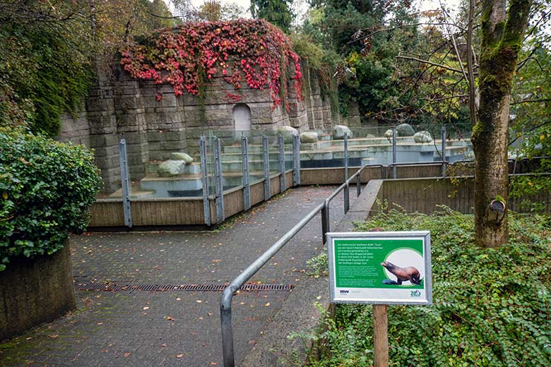 Aushang zum Kalifornischen Seelöwen-Bullen TEUN am 20. Oktober 2023 am Erweiterungs-Bereich der Seelöwen-Anlage ohne Transport-Kiste im Grünen Zoo Wuppertal