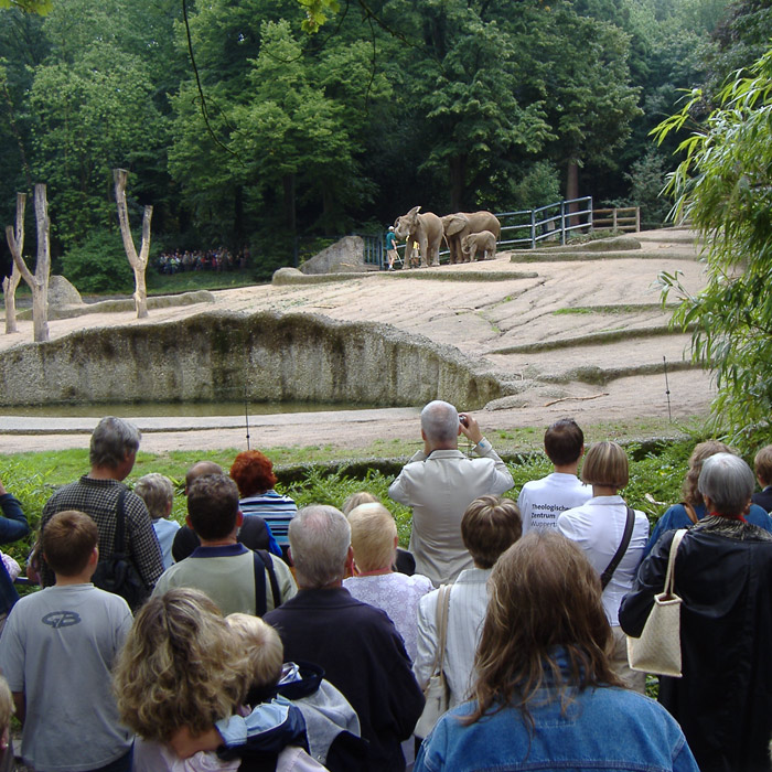 Das Elefanten-Baby "Tika" im Juli 2007 im Zoo Wuppertal (Foto Dieter Kraß)