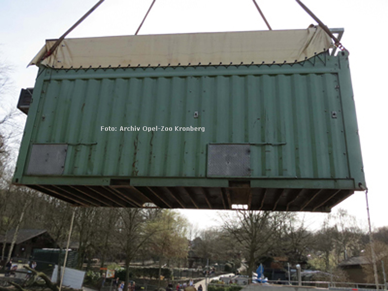 Afrikanischer Elefant im Transportcontainer im Opel-Zoo Kronberg am 17. April 2013 (Foto: Archiv Opel-Zoo Kronberg)