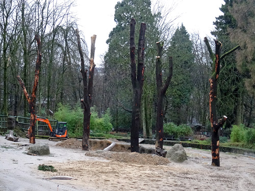 Zum Vergleich:  Die neuen Scheuerbäume nach dem Einbau am 16. Januar 2016 auf der Freianlage für Afrikanische Elefanten im  Wuppertaler Zoo