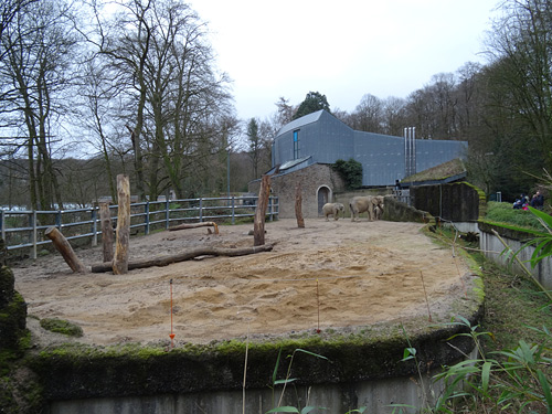 Dezimierte Scheuerbäume auf der Bullenanlage für Afrikanische Elefanten am 29. Januar 2016 im Grünen Zoo Wuppertal