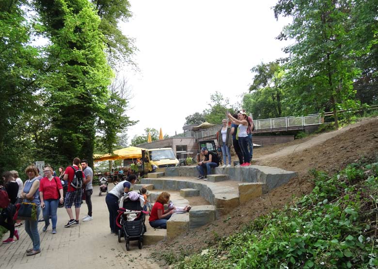 Besucher-Tribüne an der Elefantenanlage am 8. Juli 2016 im Zoologischen Garten der Stadt Wuppertal