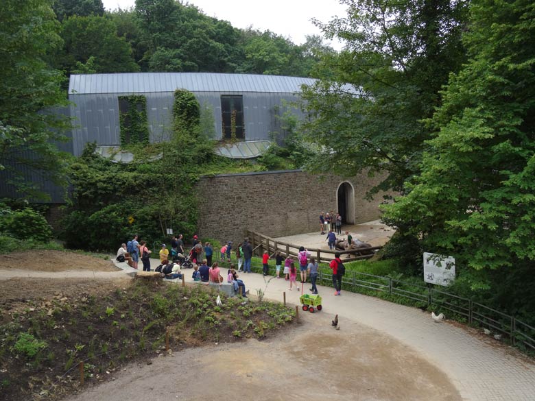 Besucher-Tribüne an der Elefantenanlage am 9. Juli 2016 im Zoologischen Garten Wuppertal