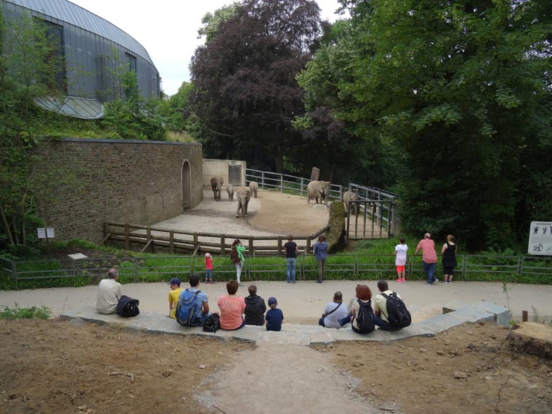 Besucher-Tribüne an der Elefantenanlage am 9. Juli 2016 im Grünen Zoo Wuppertal