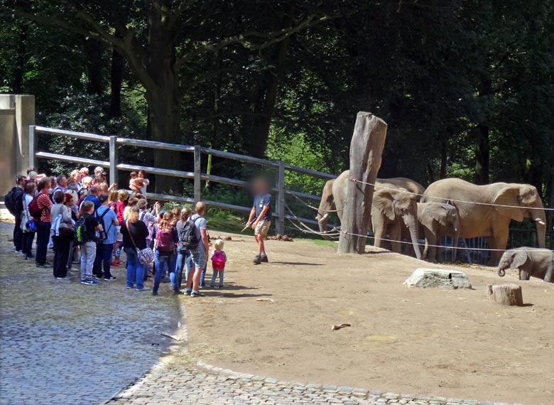 Besuchergruppe auf der Außenanlage am Elefantenhaus beim Elefantentag im Zoo Wuppertal am 13. August 2016