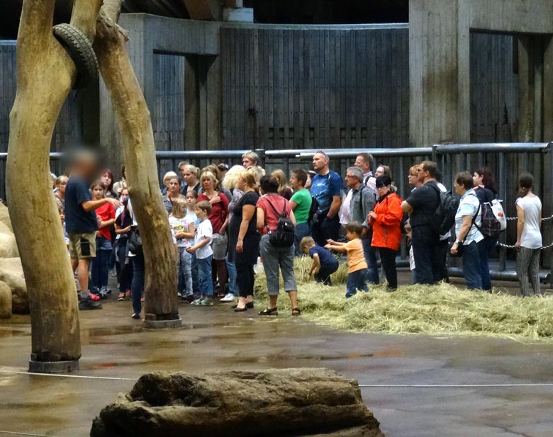 Besuchergruppe auf dem Elefantenbereich im Elefantenhaus beim Elefantentag im Zoologischen Garten der Stadt Wuppertal am 13. August 2016