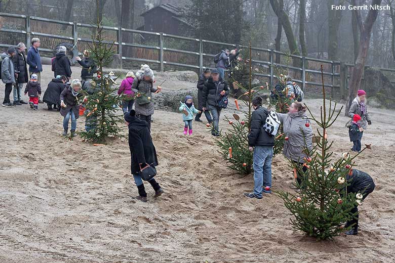 Zoobesucher/innen schmückten Tannenbäume bei der Advents-Sonderaktion auf der Anlage der Afrikanischen Elefanten am 20. Dezember 2017 im Zoologischen Garten Wuppertal (Foto Gerrit Nitsch)