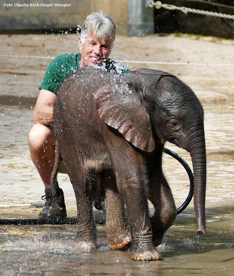 Dusche für Elefanten-Jungtier GUS am 24. April 2019 auf der Außenanlage am Elefanten-Haus im Grünen Zoo Wuppertal (Foto Claudia Böckstiegel-Wengler)