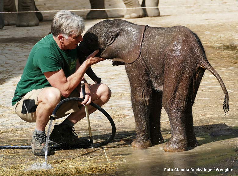 Dusche für Elefanten-Jungtier GUS am 24. April 2019 auf der Außenanlage am Elefanten-Haus im Zoo Wuppertal (Foto Claudia Böckstiegel-Wengler)