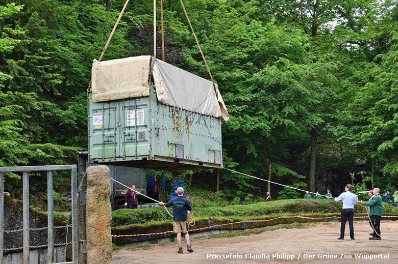 Verladung des Transport-Containers mit dem Afrikanischen Elefanten-Bullen TUSKER am 28. Mai 2019 im Grünen Zoo Wuppertal (Pressefoto Claudia Philipp - Der Grüne Zoo Wuppertal)